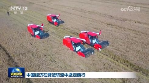中国经济在劈波斩浪中坚定前行