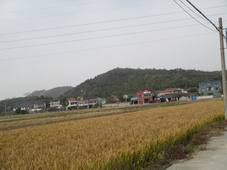 东山(今山)胡氏 古今山(今山清秀)寺今确切位置 东山(今山)胡氏 古今山(今山清秀)寺今确切位置
