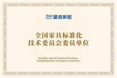 专业“质”胜丨星港家居参与《弹簧软床垫新国标》起草