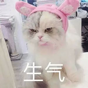 女朋友的性格和颜值，你选哪个？